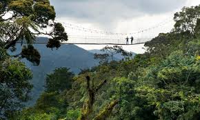 Car Rental in Nyungwe