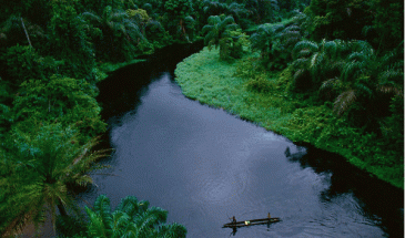 Congo river voyage