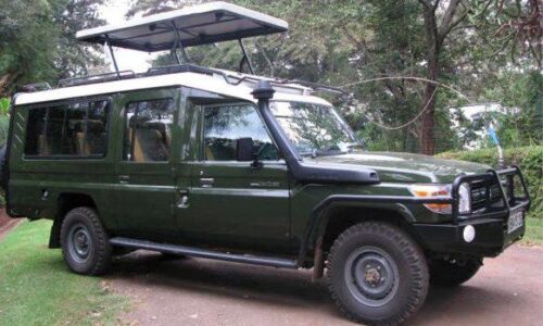 4x4 safari toyota land cruiser