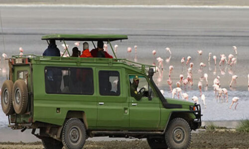Gorilla Trekking Car Hire Kigali, cheap car rental in Rwanda