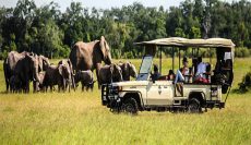 Car rental considerations for private tour vs private tour in Rwanda