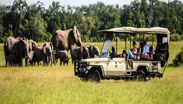 Car rental considerations for private tour vs private tour in Rwanda