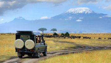 Budget for your Rwanda Self Drive Car Rental trip