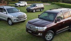 4×4 Car Rental Rwanda: Your Self-Drive Guide to Nyungwe Forest