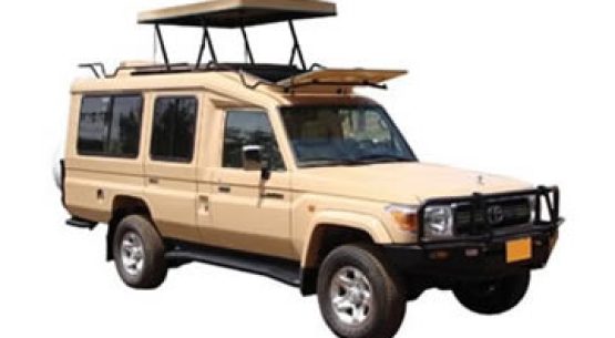 Self-Drive to Akagera | 4×4 Car Rental for Rwanda Safari