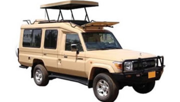 Self-Drive to Akagera | 4×4 Car Rental for Rwanda Safari