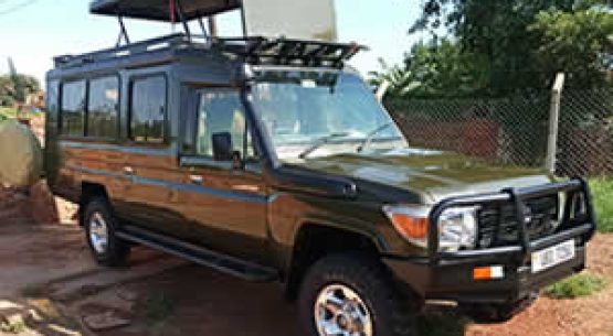 Rent a 4×4 for Gorilla Trekking in Rwanda