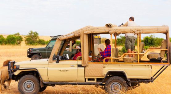 Car Rental in Rwanda – Cheap & Reliable Hire Options