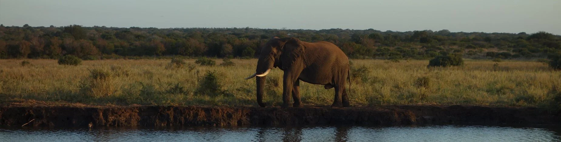 Off-Road Car Rental in Rwanda: Conquer Any Terrain with Confidence
