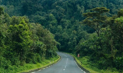 KIA Sorento hire Rwanda: Cross-Border & Rwanda 4x4 Hire Lake Kivu Road Trip: Rwanda Kigali Car Rental GuideRwanda car rental, Top Five Places To Visit On Your Rwanda Camping Trip