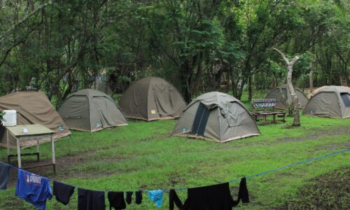 Rwanda Safari Fleet Car, Best Campsites For Your Cross Border Safari